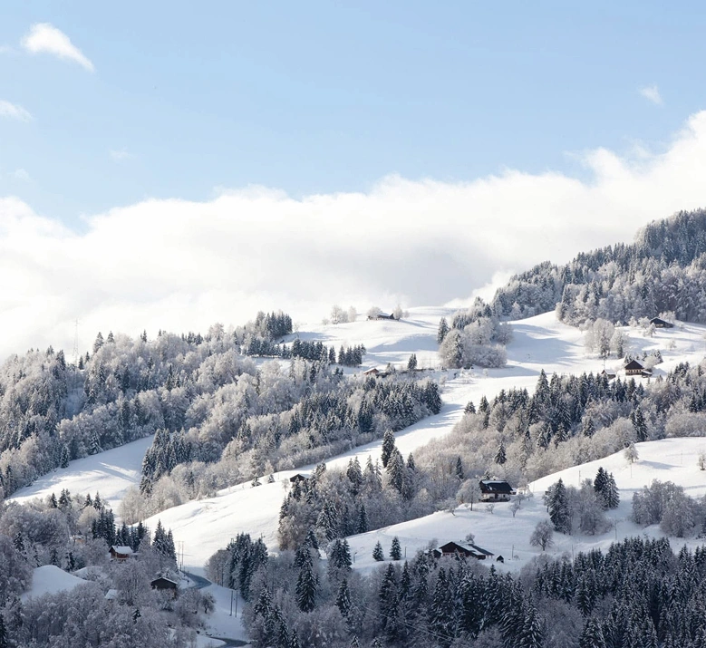 Paysage hivernal alpin sous une épaisse couche de neige fraîche, avec des sapins et des arbres givrés, des chalets dispersés sur les pentes et un ciel bleu pâle avec quelques nuages. Ambiance féérique et silencieuse de montagne enneigée.